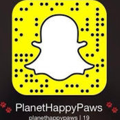 Foto de Planet Happy Paws