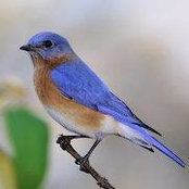 Jacquelyn Oltremari's photo