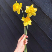 Molly McManus's photo