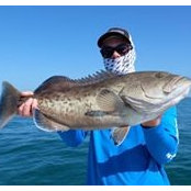David Alducka's photo