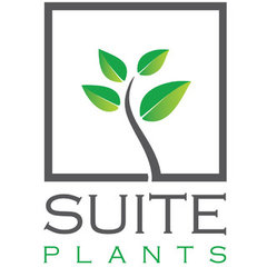 Suite Plants