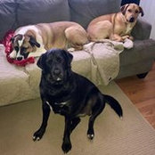 Cathy Callaway's photo