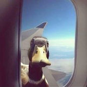 Damien Kelly's photo