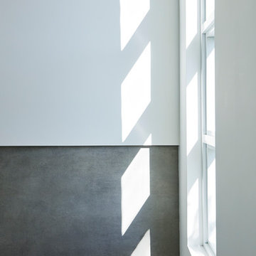 Delray Modern