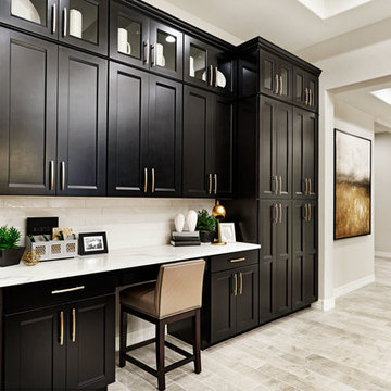 Robert model home in Arizona