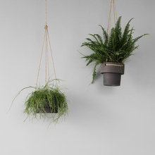 Hanging Planters