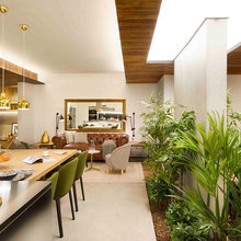 Indoors garden