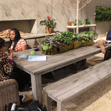 Natural Swimming Pool. 2014 Chicago Flower and Garden Show