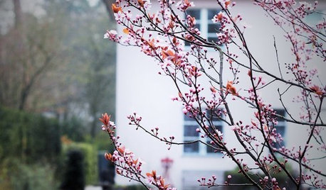 Frühlingsgefühle: 10 Dinge, die Sie jetzt genießen sollten