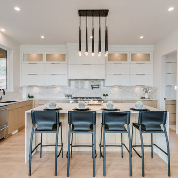 Contemporary Kitchen