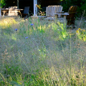 Menlo Park Native Plant Haven