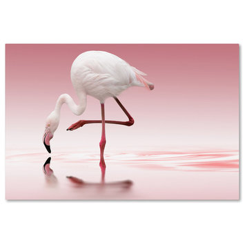 Doris Reindl 'Flamingo' Canvas Art, 22x32