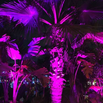 Outdoor Lighting