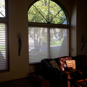 Silhouette Shades