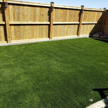Synthetic Artificial Turf Grass Dog Yard Transformations Lethbridge 2020