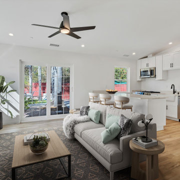 Living Room / Kitchen