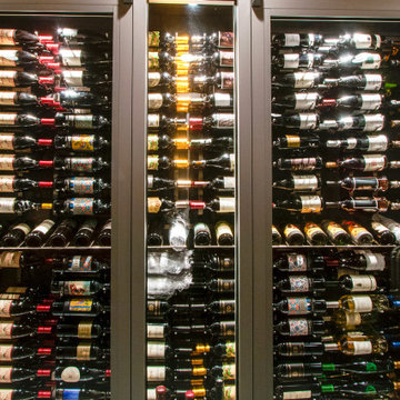 Basement contemporary wine cellar & tasting room