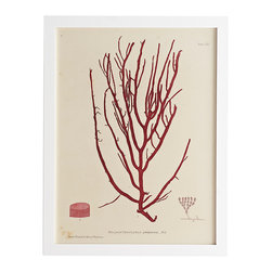 SEAWEED WALL ART &ndash; STIPE - Prints And Posters