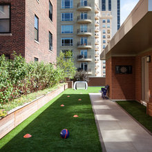 Side yard