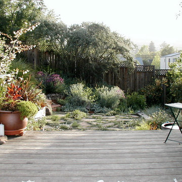 Edible and Natives in Oakland