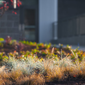 COMMERCIAL LANDSCAPE SERVICES
