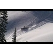 Jameson Ferney's photo