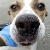 Warren Sutherland's photo