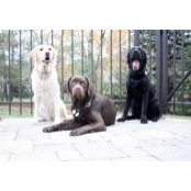 Janet McBride's photo