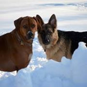 Betsy Seegott's photo