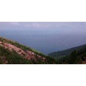 Diane MacKinnon-Pytel's photo