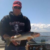 Foto von Kyle Gustafson