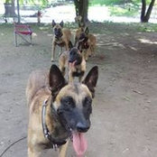 Walter Zyla's photo