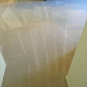 carpet cleaning brisbane's photo