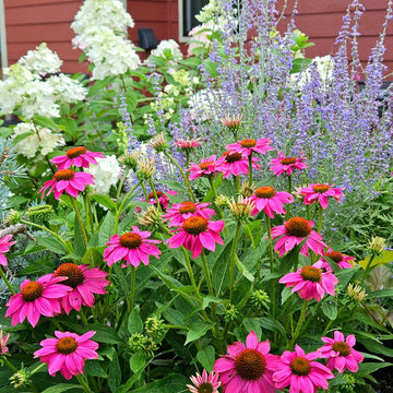 Garden & Landscape Collection