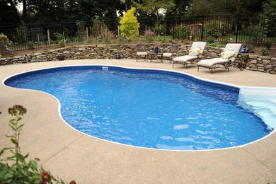 Inspiration for a mid-sized custom-shaped pool in Baltimore.