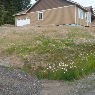 Dry Riverbeds - Before