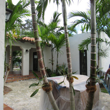 Coral Gables mission revival - Vintage