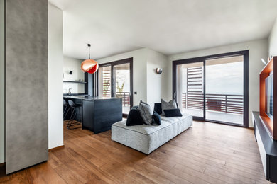 Immagine di un soggiorno moderno di medie dimensioni e stile loft con parquet scuro e TV a parete