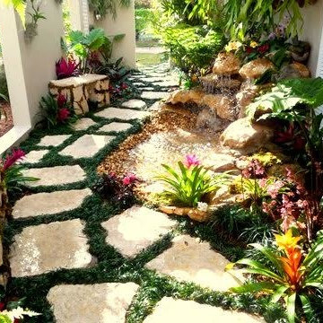 Tropical Paradise