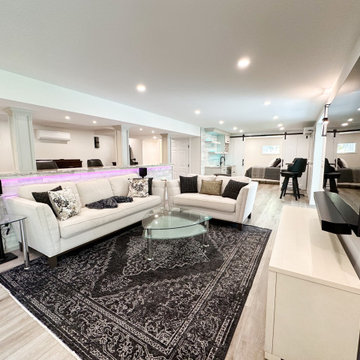 DBS Remodel Basements