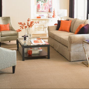 Carpet gallery