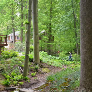 Woodland Garden