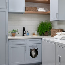 Cat Litter Box