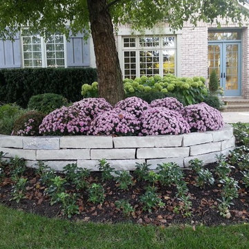 Our Work