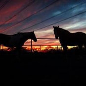 Linda Nunez's photo