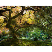 David Wetherington's photo