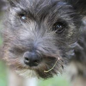 Carly Bray's photo