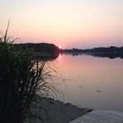 Foto von Janice Hupfer