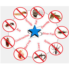 American Scientific Pest & Termite Control