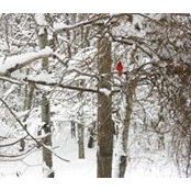 Katie VanTimmeren's photo